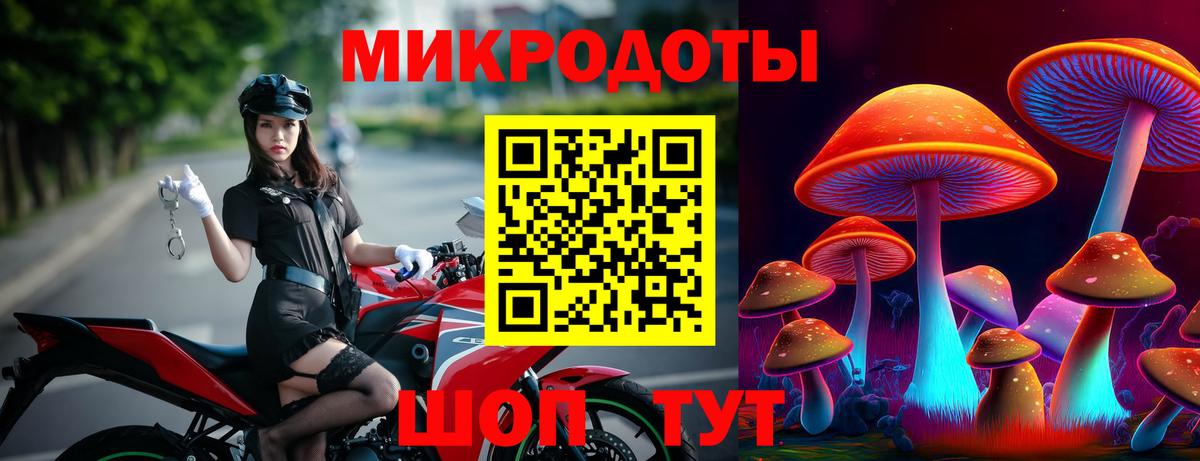 Галлюциногенные грибы Cubensis Архангельск